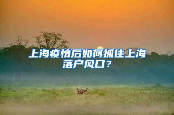 上海疫情后如何抓住上海落户风口？