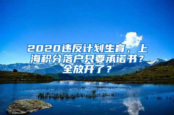 2020违反计划生育，上海积分落户只要承诺书？全放开了？