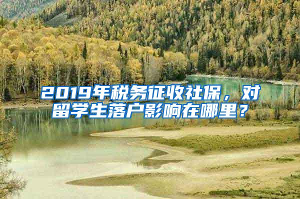 2019年税务征收社保，对留学生落户影响在哪里？