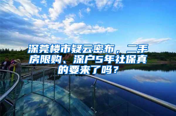 深莞楼市疑云密布，二手房限购、深户5年社保真的要来了吗？