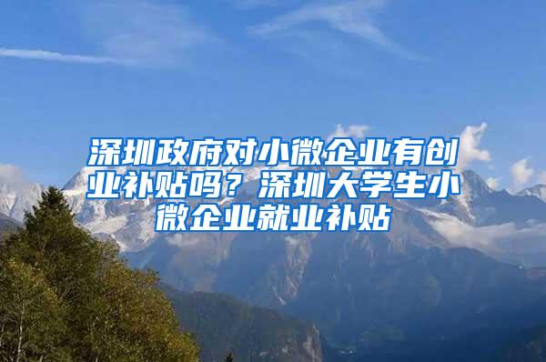 深圳政府对小微企业有创业补贴吗？深圳大学生小微企业就业补贴