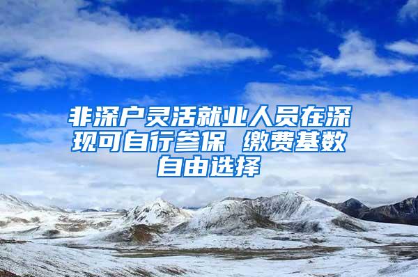 非深户灵活就业人员在深现可自行参保 缴费基数自由选择