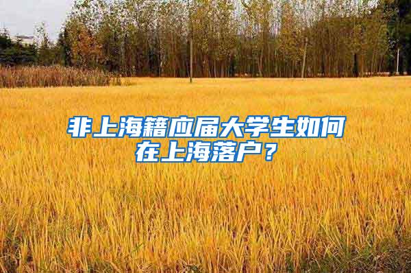 非上海籍应届大学生如何在上海落户？