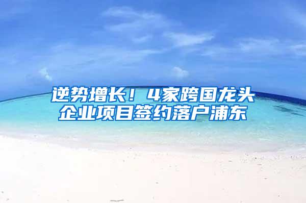 逆势增长！4家跨国龙头企业项目签约落户浦东