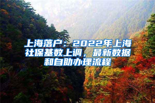 上海落户：2022年上海社保基数上调，最新数据和自助办理流程