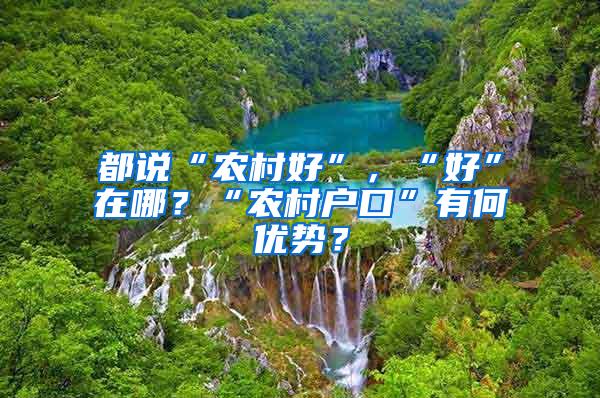 都说“农村好”，“好”在哪？“农村户口”有何优势？