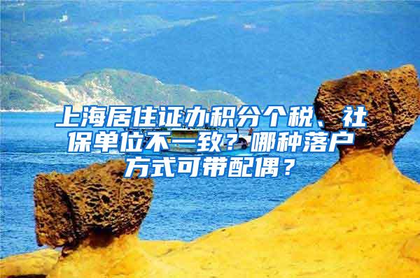 上海居住证办积分个税、社保单位不一致？哪种落户方式可带配偶？