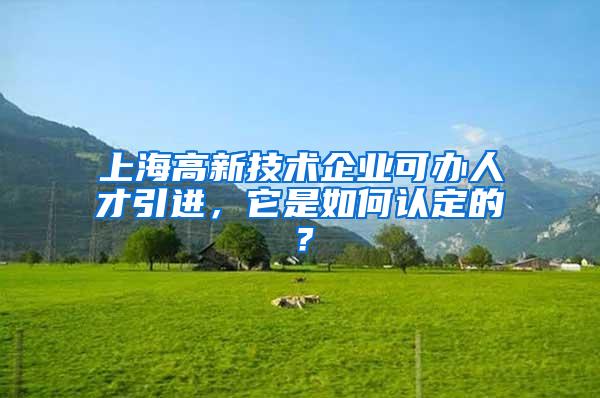 上海高新技术企业可办人才引进，它是如何认定的？