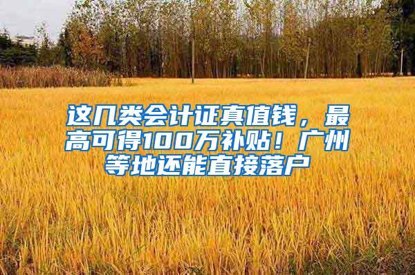 这几类会计证真值钱，最高可得100万补贴！广州等地还能直接落户