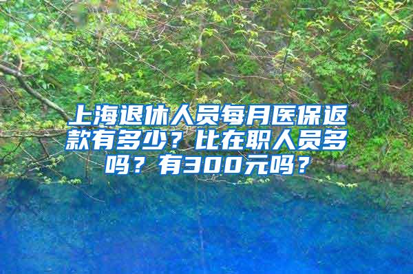 上海退休人员每月医保返款有多少？比在职人员多吗？有300元吗？