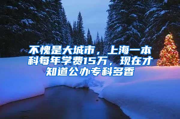 不愧是大城市，上海一本科每年学费15万，现在才知道公办专科多香