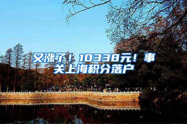 又涨了！10338元！事关上海积分落户