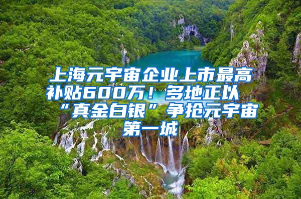 上海元宇宙企业上市最高补贴600万！多地正以“真金白银”争抢元宇宙第一城