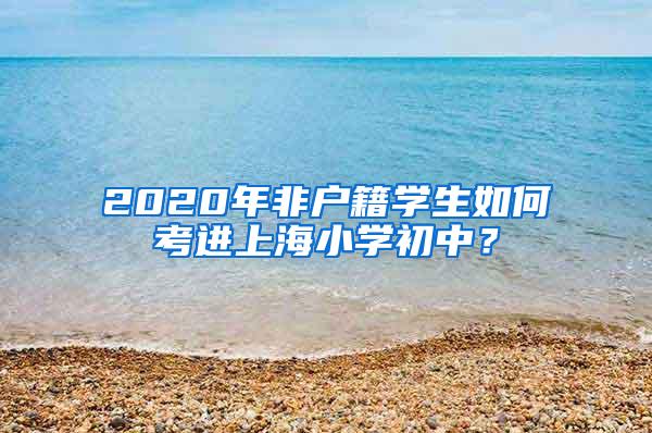 2020年非户籍学生如何考进上海小学初中？