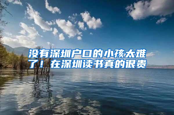 没有深圳户口的小孩太难了！在深圳读书真的很贵