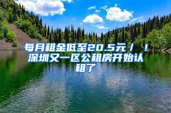 每月租金低至20.5元／㎡！深圳又一区公租房开始认租了