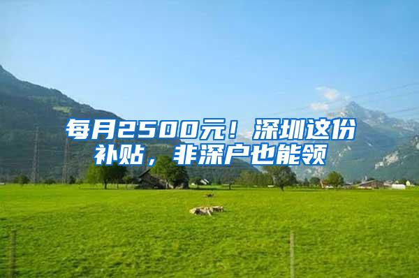 每月2500元！深圳这份补贴，非深户也能领