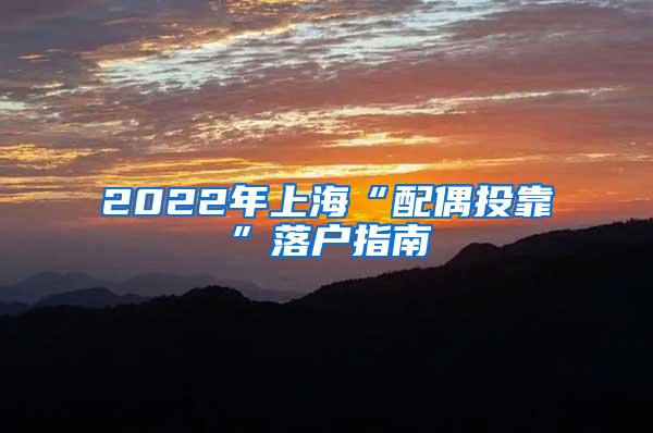 2022年上海“配偶投靠”落户指南