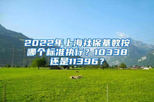 2022年上海社保基数按哪个标准执行？10338还是11396？