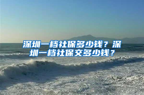 深圳一档社保多少钱？深圳一档社保交多少钱？