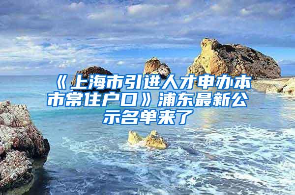 《上海市引进人才申办本市常住户口》浦东最新公示名单来了