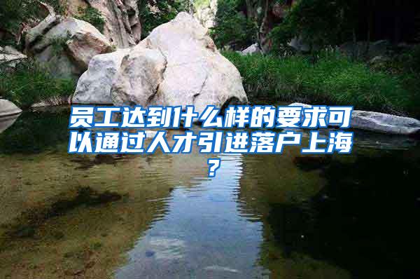 员工达到什么样的要求可以通过人才引进落户上海？