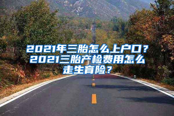 2021年三胎怎么上户口？2021三胎产检费用怎么走生育险？