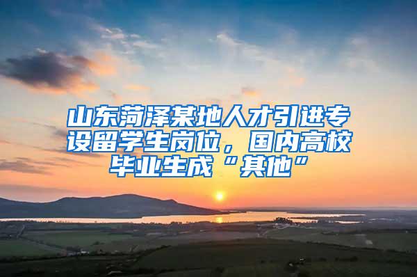 山东菏泽某地人才引进专设留学生岗位，国内高校毕业生成“其他”