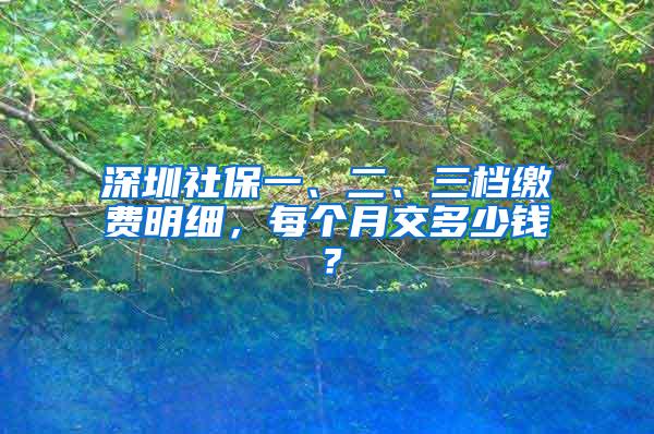 深圳社保一、二、三档缴费明细，每个月交多少钱？