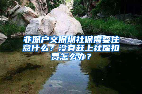 非深户交深圳社保需要注意什么？没有赶上社保扣费怎么办？