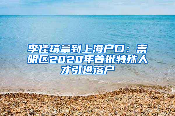 李佳琦拿到上海户口：崇明区2020年首批特殊人才引进落户