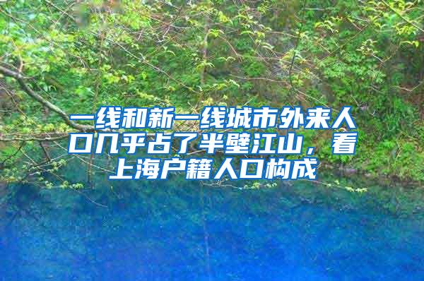 一线和新一线城市外来人口几乎占了半壁江山，看上海户籍人口构成