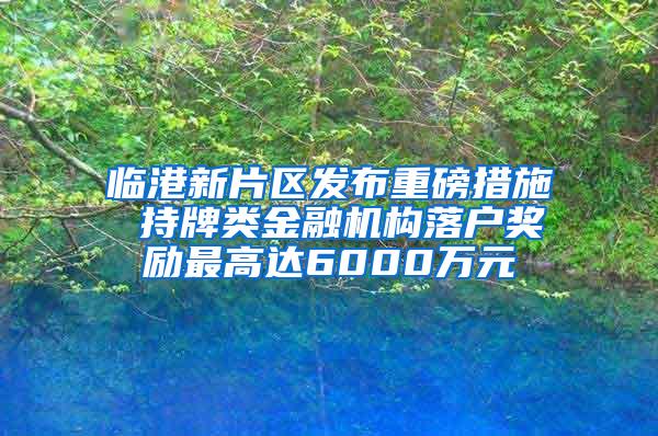 临港新片区发布重磅措施 持牌类金融机构落户奖励最高达6000万元