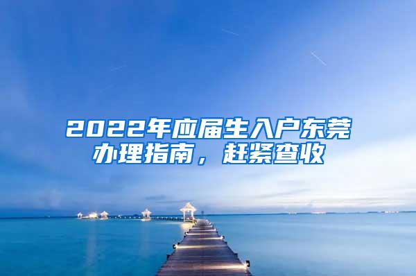 2022年应届生入户东莞办理指南，赶紧查收