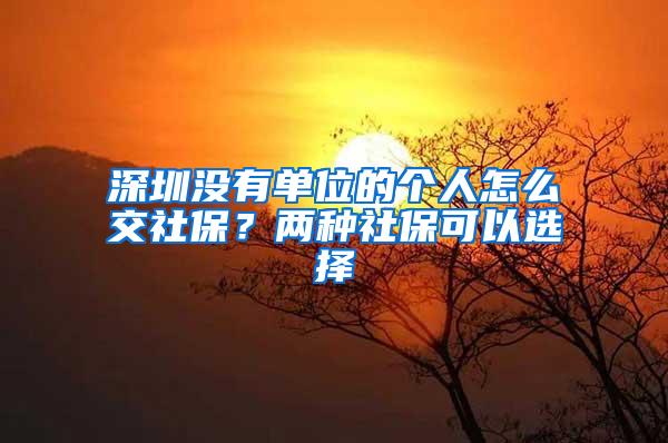 深圳没有单位的个人怎么交社保？两种社保可以选择