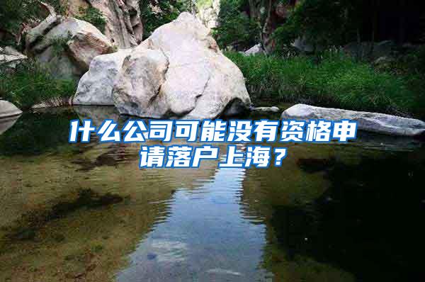 什么公司可能没有资格申请落户上海？