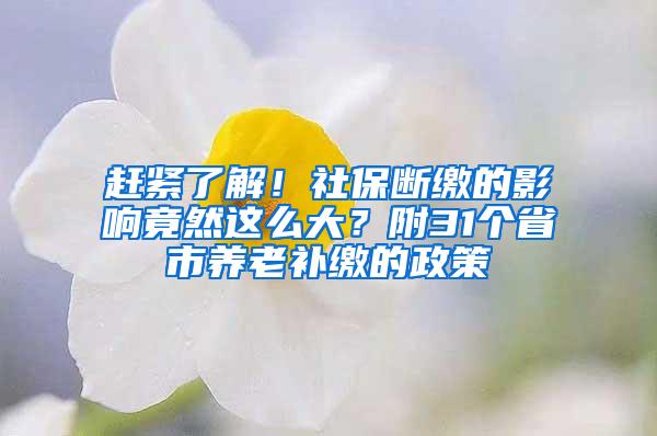 赶紧了解！社保断缴的影响竟然这么大？附31个省市养老补缴的政策