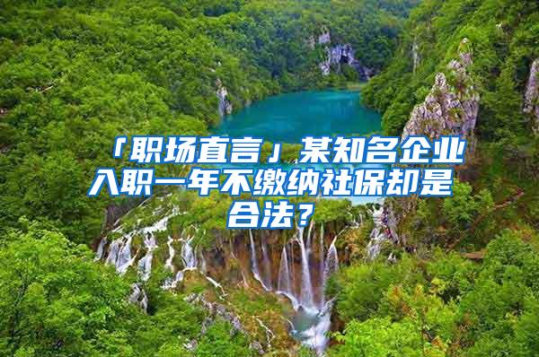 「职场直言」某知名企业入职一年不缴纳社保却是合法？