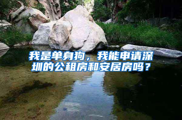 我是单身狗，我能申请深圳的公租房和安居房吗？