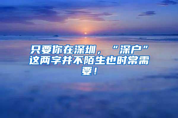 只要你在深圳，“深户”这两字并不陌生也时常需要！