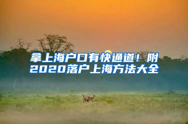 拿上海户口有快通道！附2020落户上海方法大全