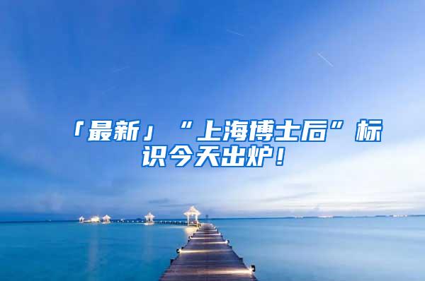 「最新」“上海博士后”标识今天出炉！