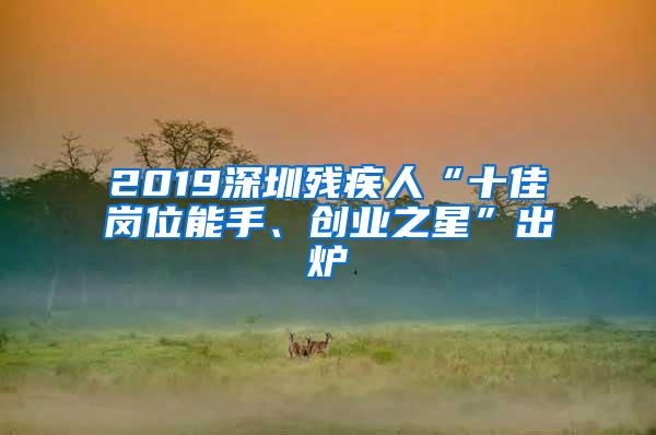 2019深圳残疾人“十佳岗位能手、创业之星”出炉