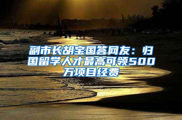 副市长胡宝国答网友：归国留学人才最高可领500万项目经费