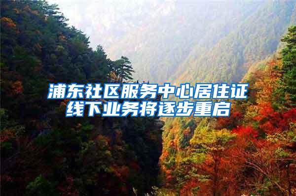 浦东社区服务中心居住证线下业务将逐步重启