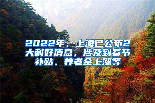 2022年，上海已公布2大利好消息，涉及到春节补贴、养老金上涨等