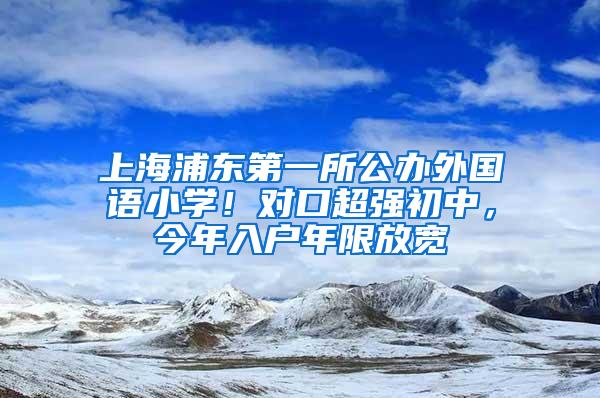 上海浦东第一所公办外国语小学！对口超强初中，今年入户年限放宽