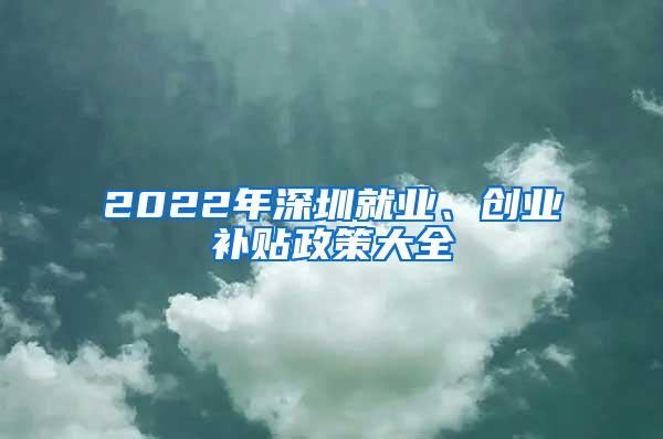 2022年深圳就业、创业补贴政策大全