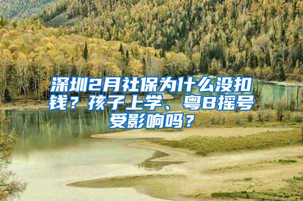 深圳2月社保为什么没扣钱？孩子上学、粤B摇号受影响吗？