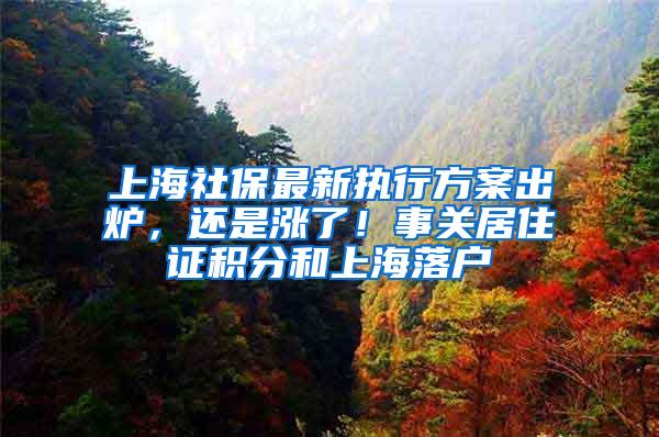 上海社保最新执行方案出炉，还是涨了！事关居住证积分和上海落户